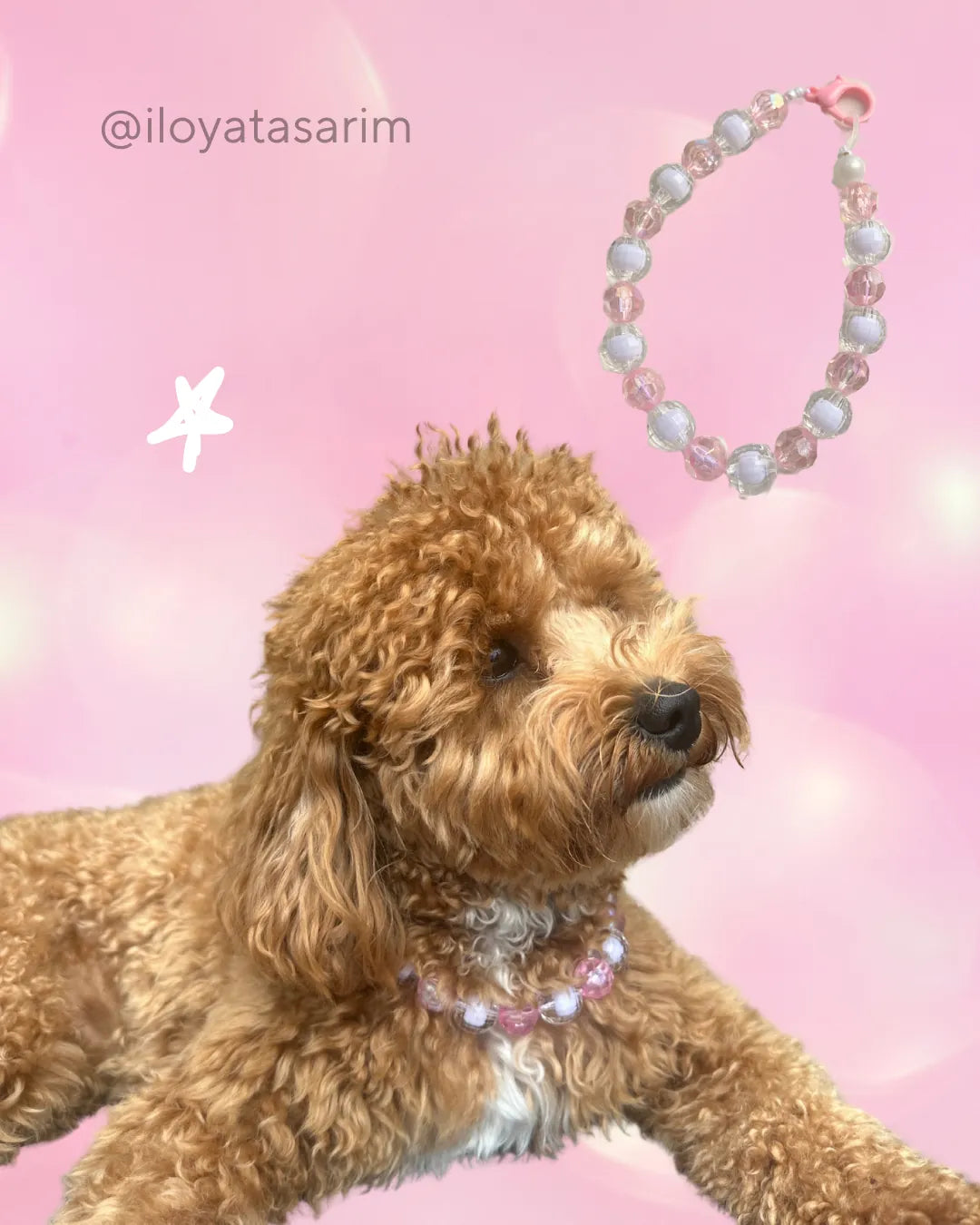 Kristal Pet Kolye